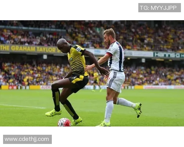 西布罗对阵水晶宫直播全程回顾与精彩瞬间分析 西布罗对阵水晶宫直播全程回顾与精彩瞬间分析