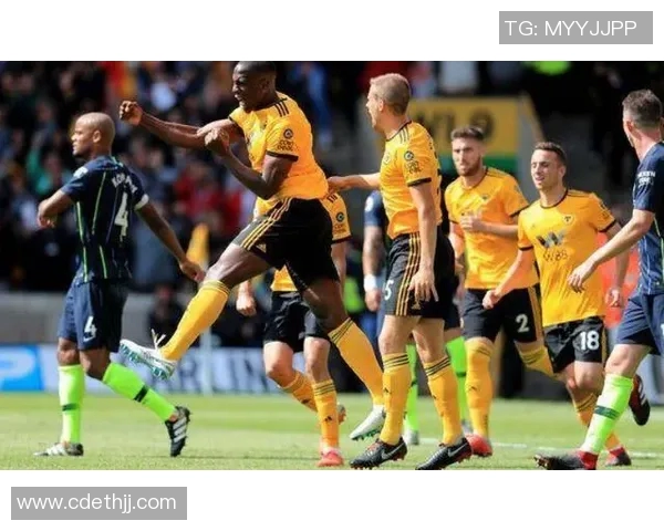 威科姆与哈德斯的对决分析及胜负预测全解析