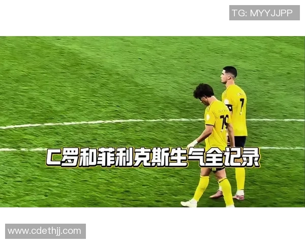 球迷疯狂冲入场内成功抢走C罗球衣引发热议与争议