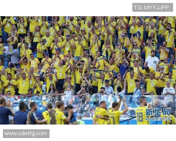 俄罗斯足球对阵瑞典的精彩对决分析与赛后点评