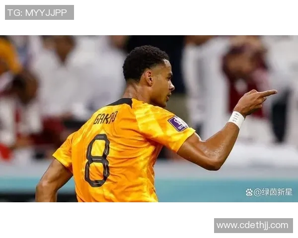 加克波：从天赋新星到足球巨星的成长之路与未来展望