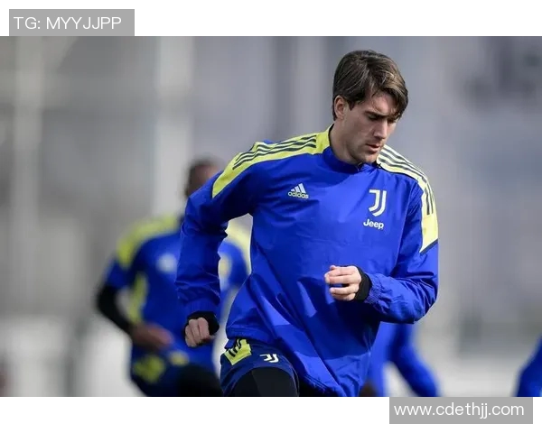 弗拉霍维奇的崛起之路:从青年才俊到顶级前锋的蜕变与挑战