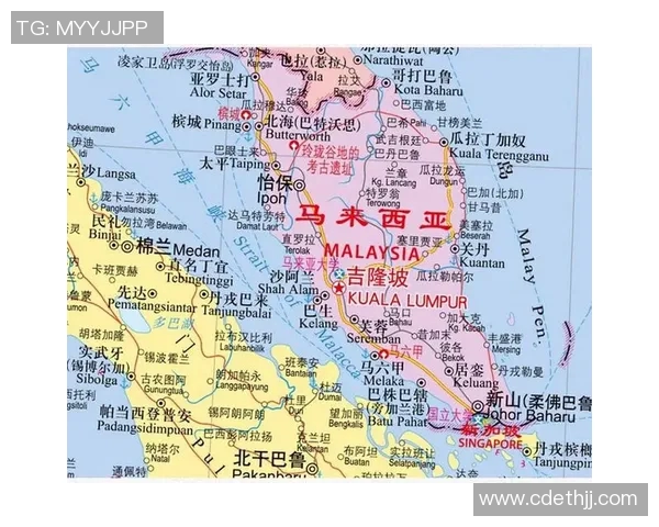 新加坡与印尼足球对决全面分析与未来走势预测